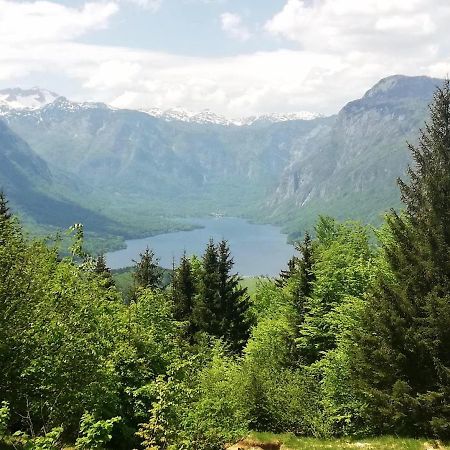 Apartment Ana Bohinj Luaran gambar
