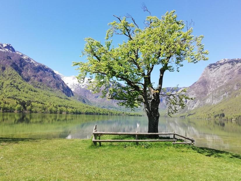 Apartment Ana Bohinj Luaran gambar
