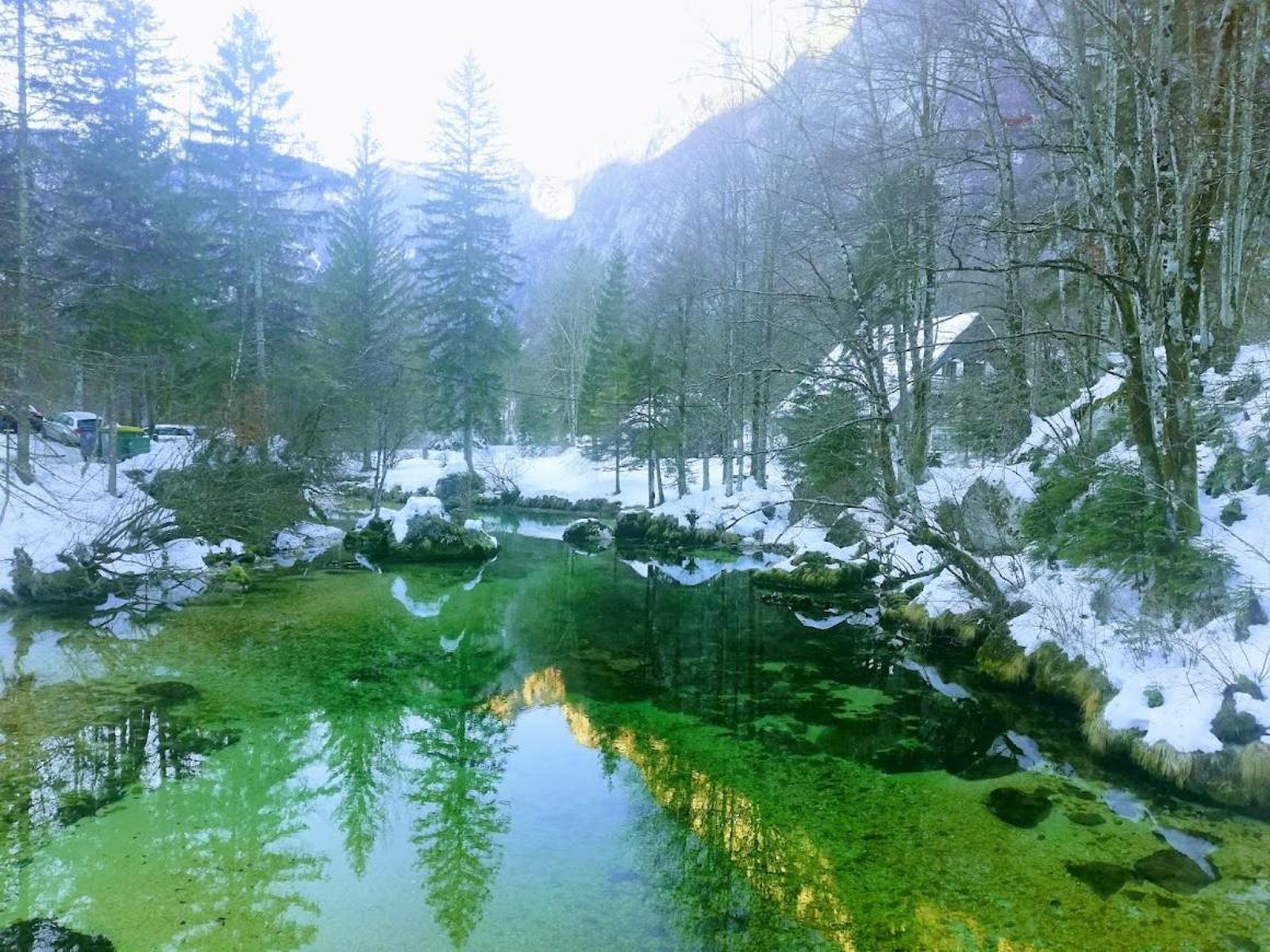 Apartment Ana Bohinj Luaran gambar