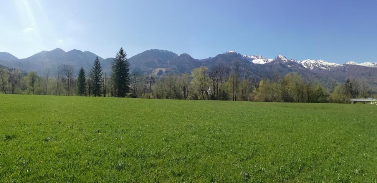 Apartment Ana Bohinj Luaran gambar