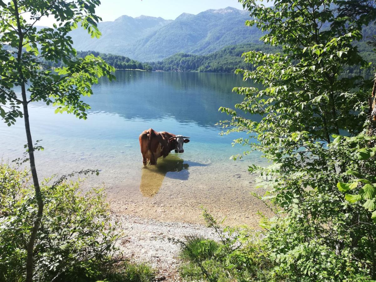 Apartment Ana Bohinj Luaran gambar