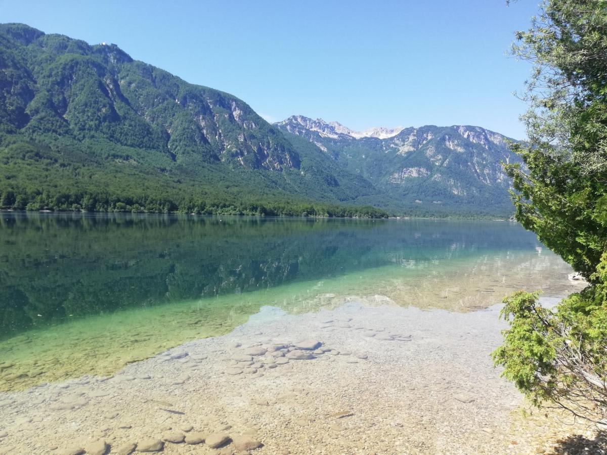 Apartment Ana Bohinj Luaran gambar