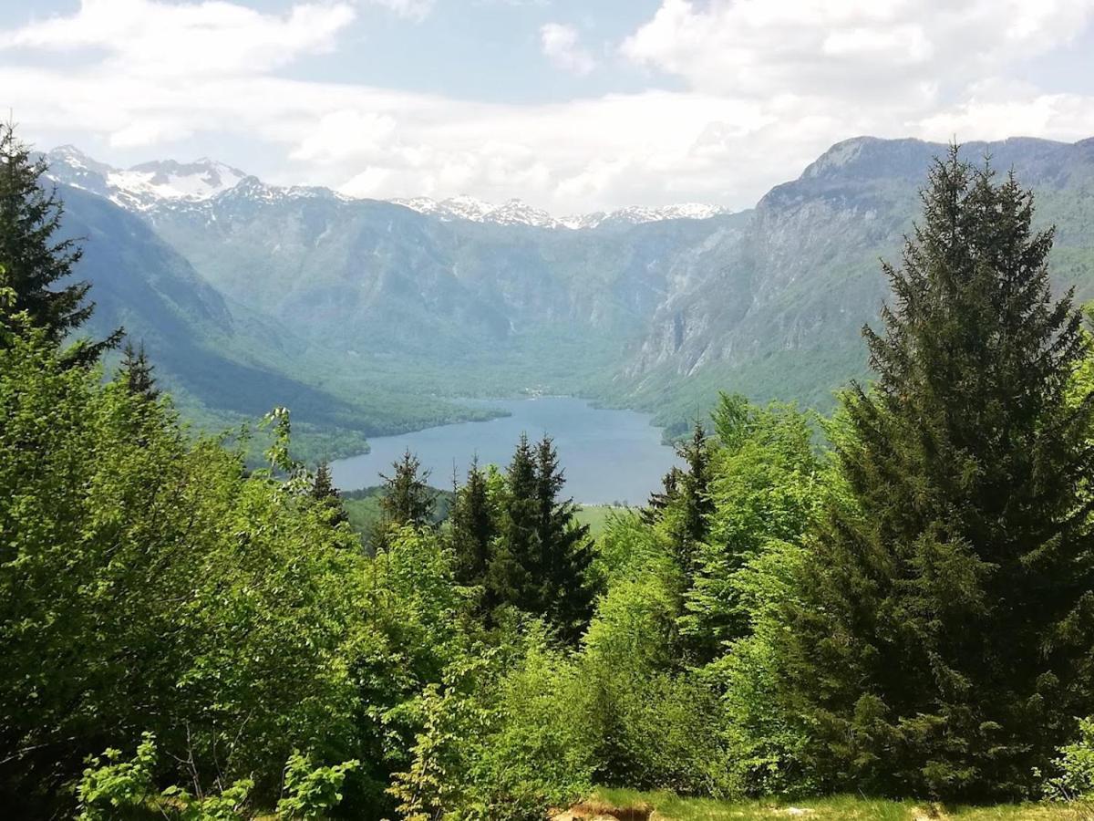 Apartment Ana Bohinj Luaran gambar