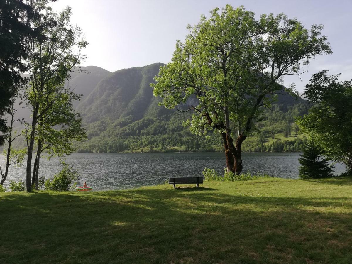 Apartment Ana Bohinj Luaran gambar