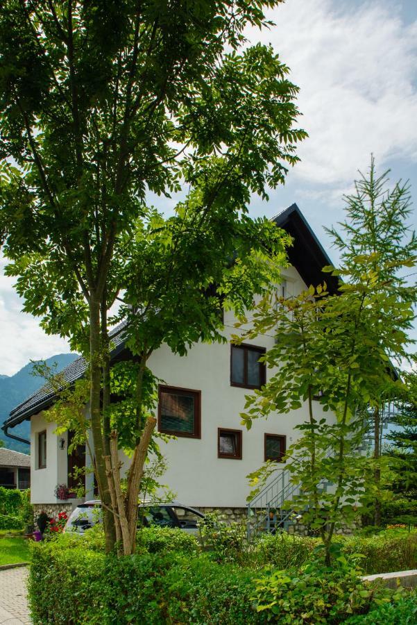 Apartment Ana Bohinj Luaran gambar
