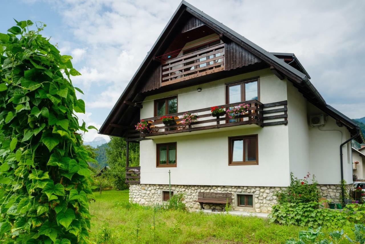Apartment Ana Bohinj Luaran gambar